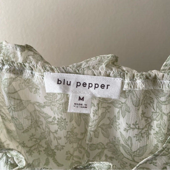 Blu Pepper Green Floral Sheer Crop Top Longsleeve Women's M Fairycore Spring - Picture 4 of 6